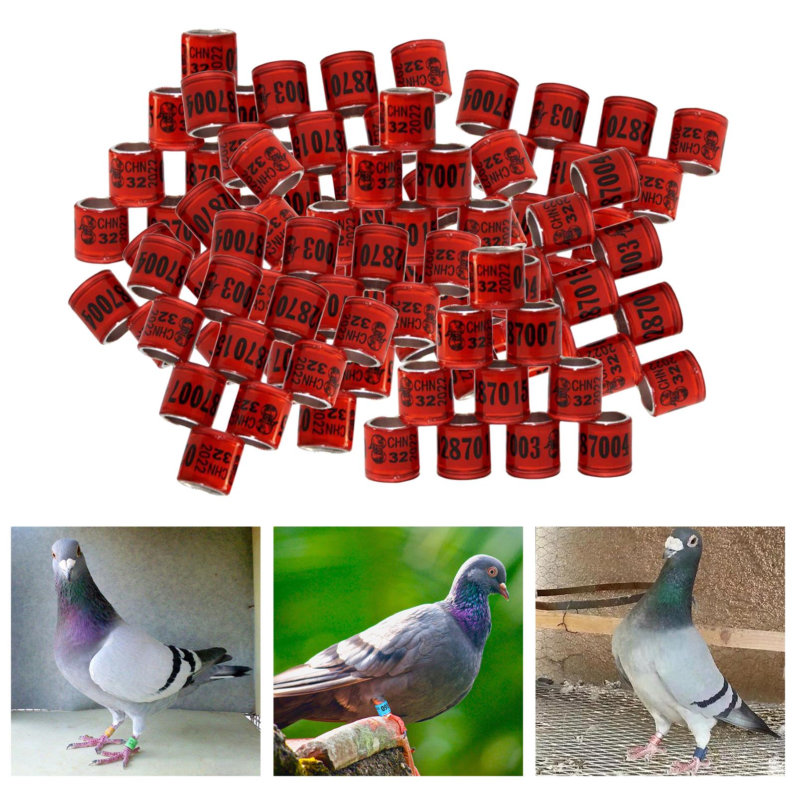 100Pcs 2022 Aluminium Bird Racing Pigeon Foot Rings Bands 8mm Red