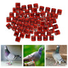 100Pcs 2022 Aluminium Bird Racing Pigeon Foot Rings Bands 8mm Red