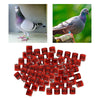 100Pcs 2022 Aluminium Bird Racing Pigeon Foot Rings Bands 8mm Red