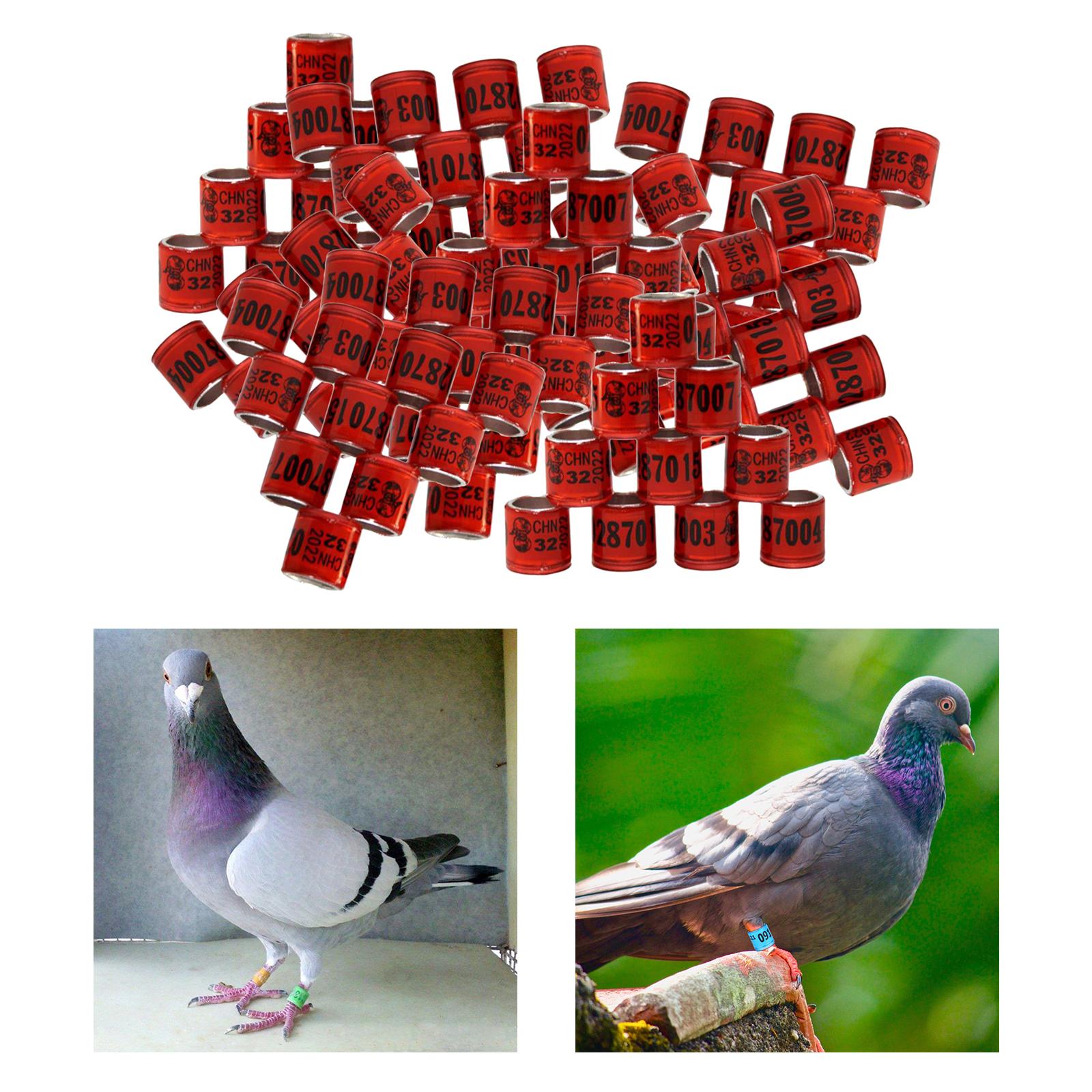 100Pcs 2022 Aluminium Bird Racing Pigeon Foot Rings Bands 8mm Red