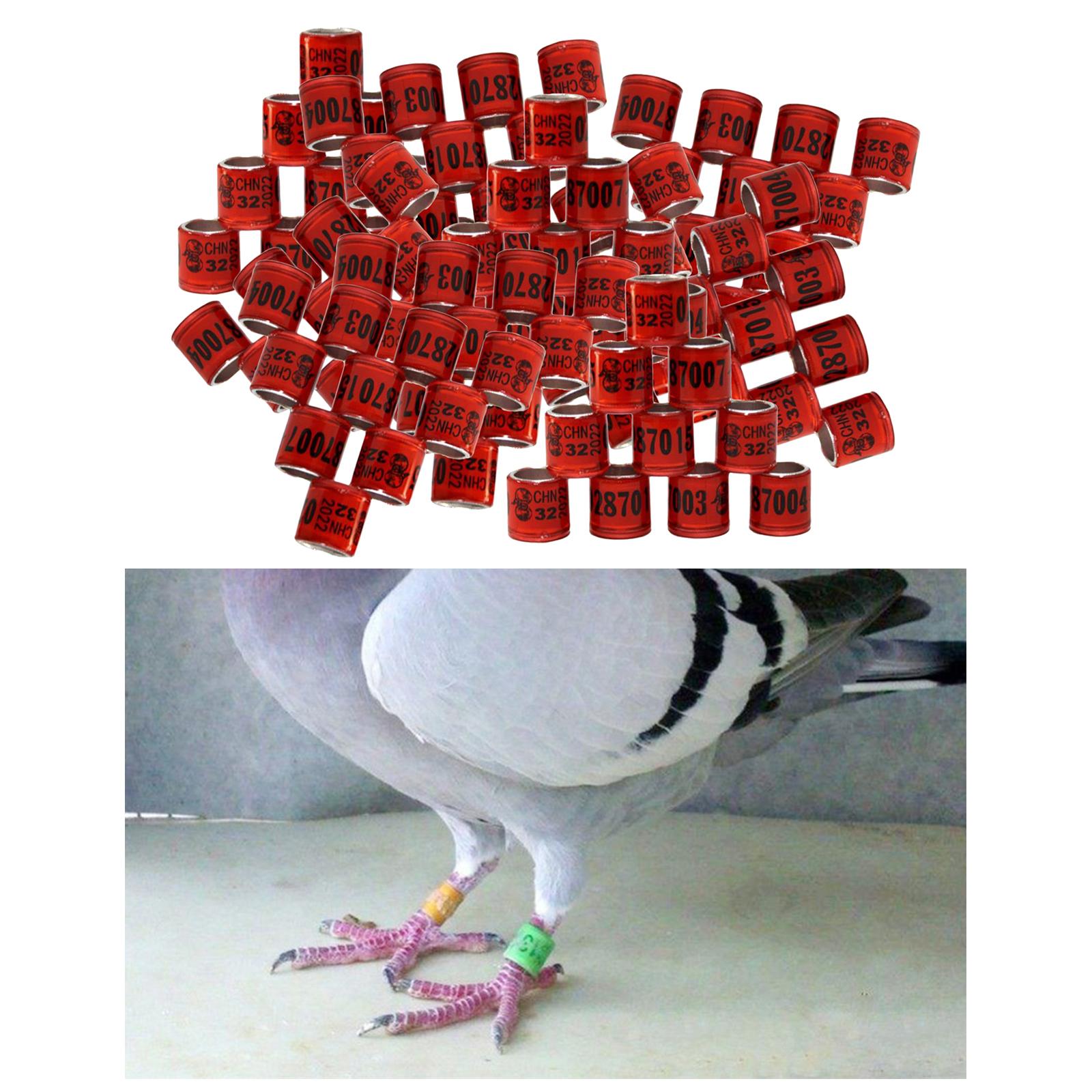 100Pcs 2022 Aluminium Bird Racing Pigeon Foot Rings Bands 8mm Red