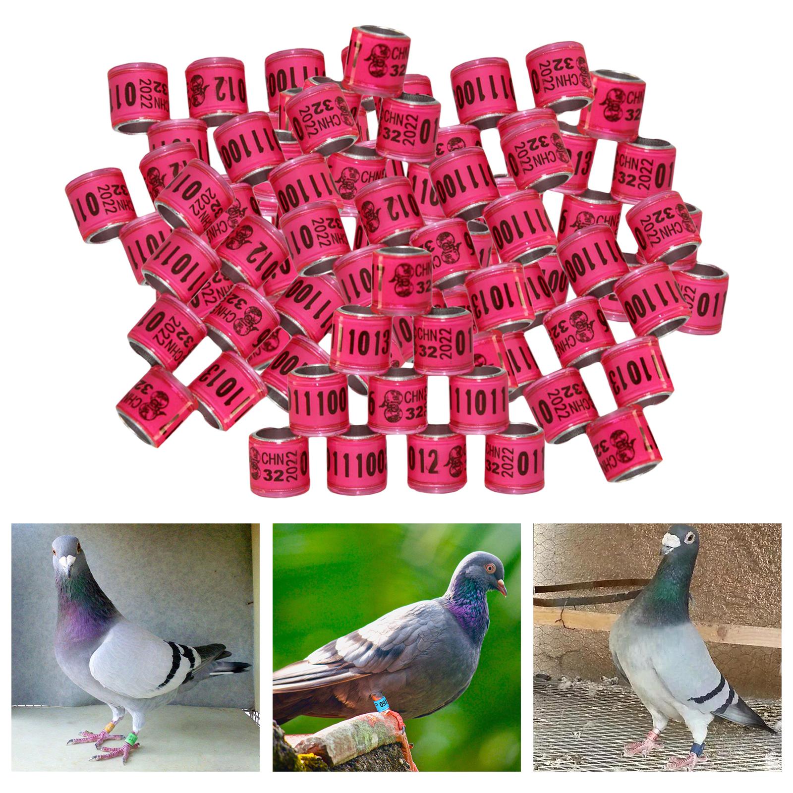 100Pcs 2022 Aluminium Bird Racing Pigeon Foot Rings Bands 8mm Pink