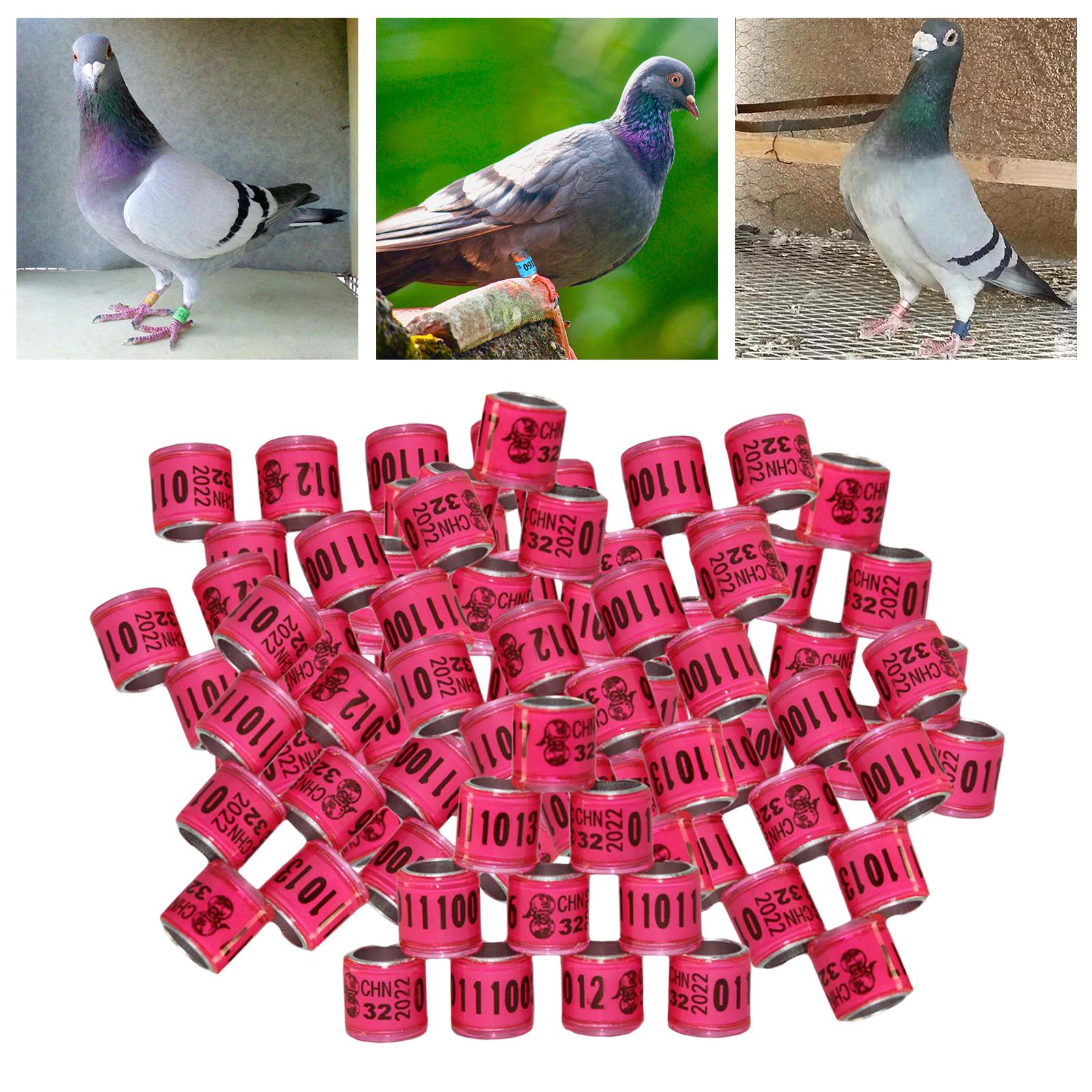 100Pcs 2022 Aluminium Bird Racing Pigeon Foot Rings Bands 8mm Pink