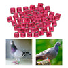 100Pcs 2022 Aluminium Bird Racing Pigeon Foot Rings Bands 8mm Pink