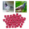 100Pcs 2022 Aluminium Bird Racing Pigeon Foot Rings Bands 8mm Pink