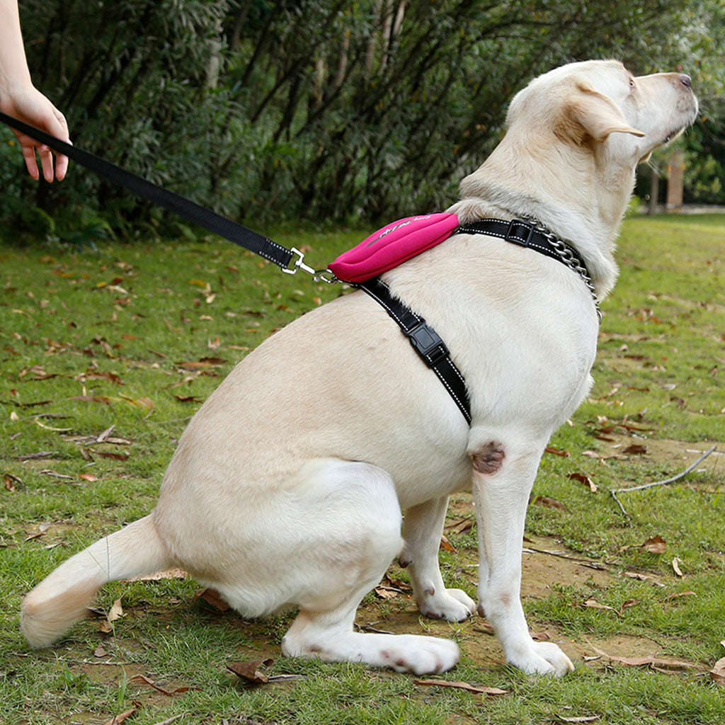 Rose Red Large Dog Harness Reflect Light Nylon Collar Leash Harness w/ Bag S