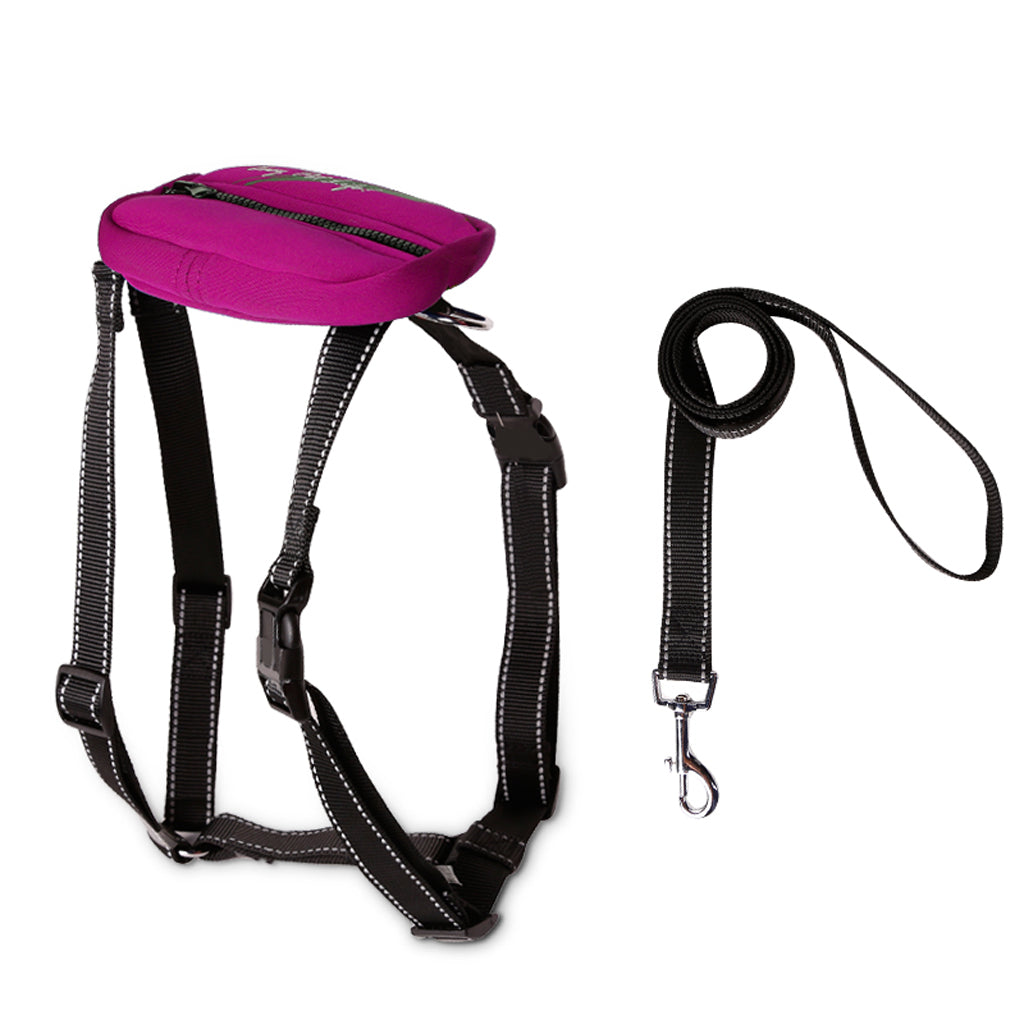 Rose Red Large Dog Harness Reflect Light Nylon Collar Leash Harness w/ Bag S