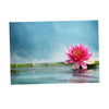 Aquarium Fish Tank HD One Side Adhesive Background Lotus Picture S