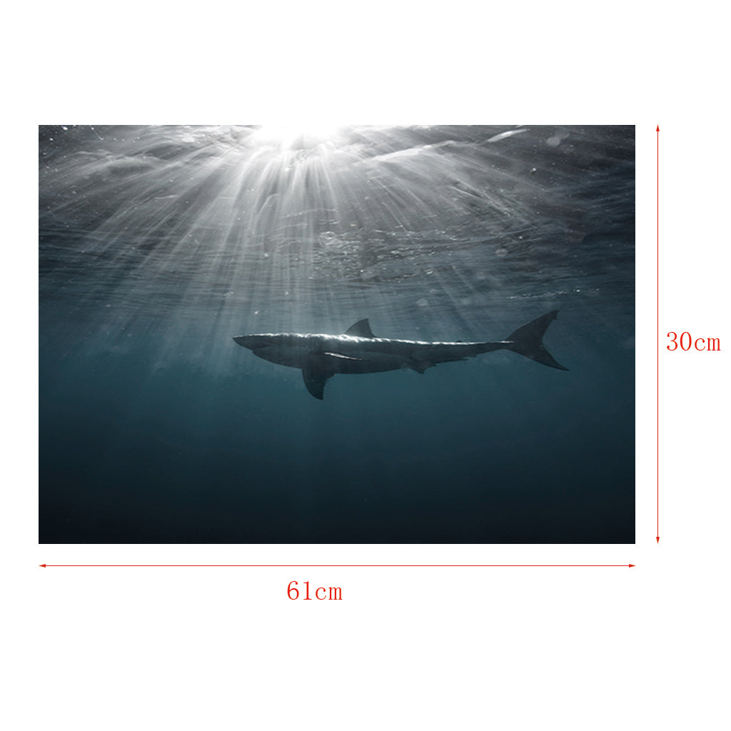 Aquarium Fish Tank HD One Side Adhesive Background Shark Picture XS