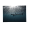 Aquarium Fish Tank HD One Side Adhesive Background Shark Picture XS