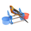 Parrot Rocking Chair Toys Wooden Horse Bird Stand Toys with 2 Food Cup S