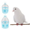 Plastic Drinker With Handle For Pigeon Birds Water Dispenser Accessorries 2L