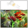 Acrylic Pants Feeder Shrimp Aquarium Fish Tank Aquatic Feeder Covered