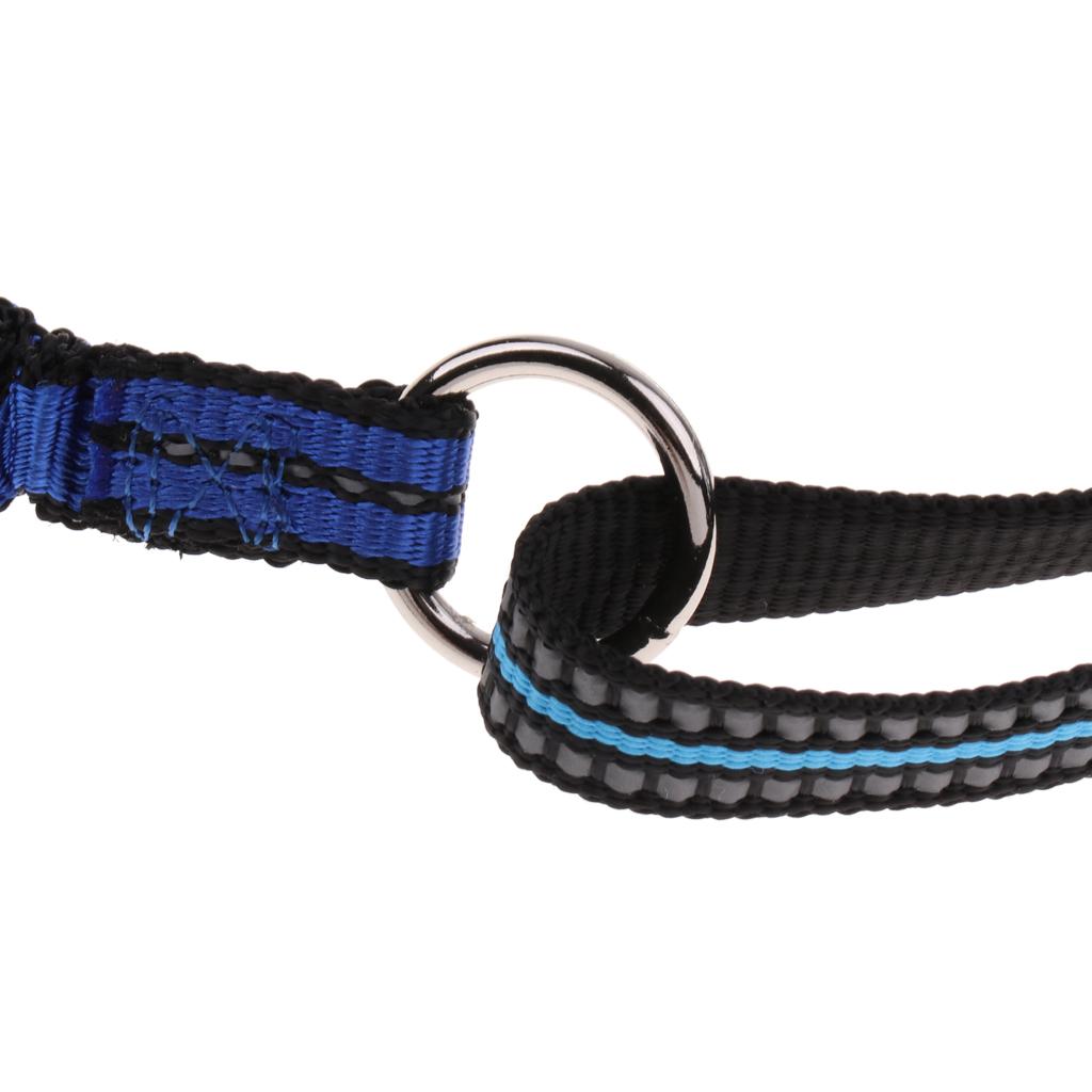 Flexible Hands-Free Running Training Leash with Reflective Stitching Blue S