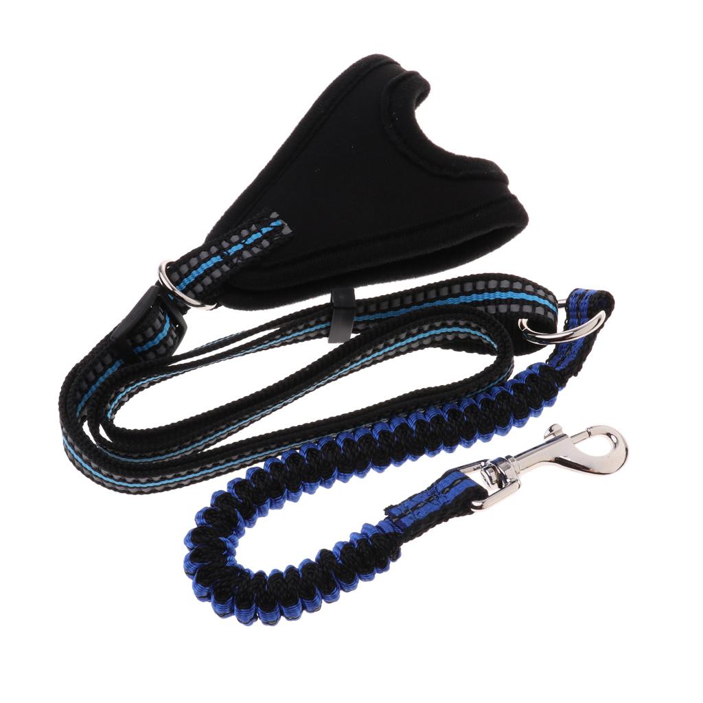 Flexible Hands-Free Running Training Leash with Reflective Stitching Blue S