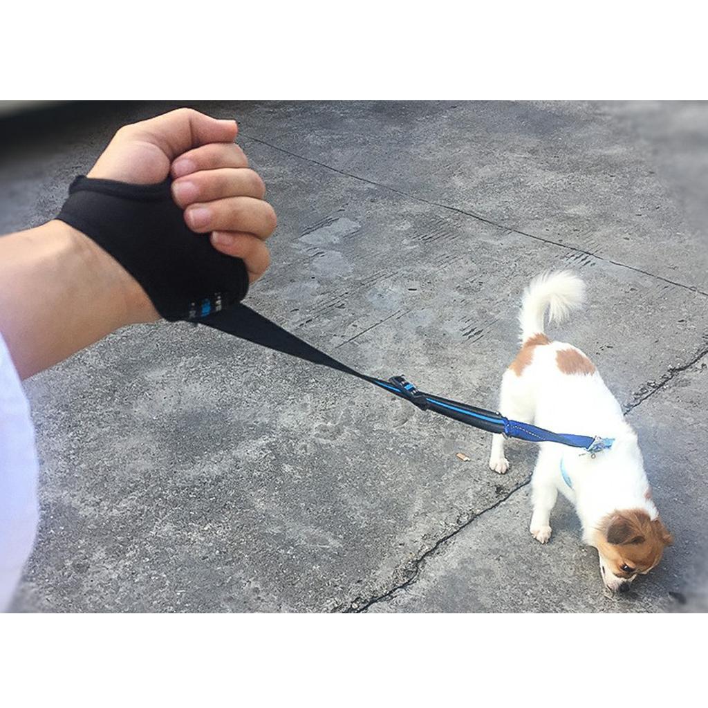 Flexible Hands-Free Running Training Leash with Reflective Stitching Blue S