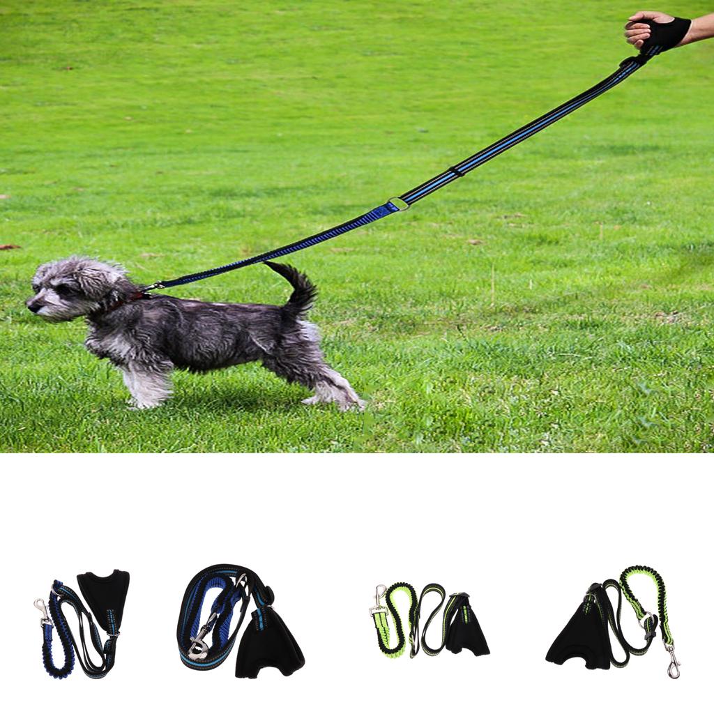 Flexible Hands-Free Running Training Leash with Reflective Stitching Blue S