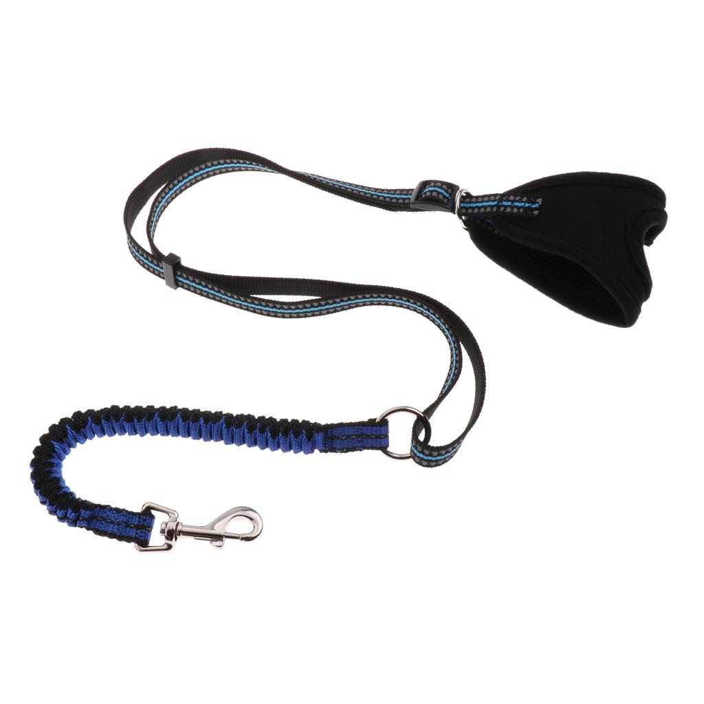 Flexible Hands-Free Running Training Leash with Reflective Stitching Blue S