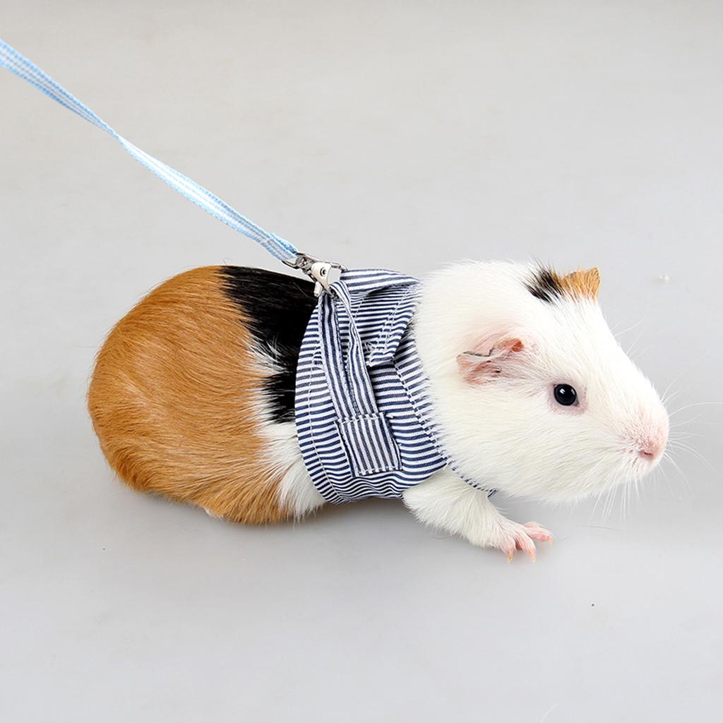 Hurtless Hamster Vest Leash Collar Harness Lead Rope Chest Strap L  Blue