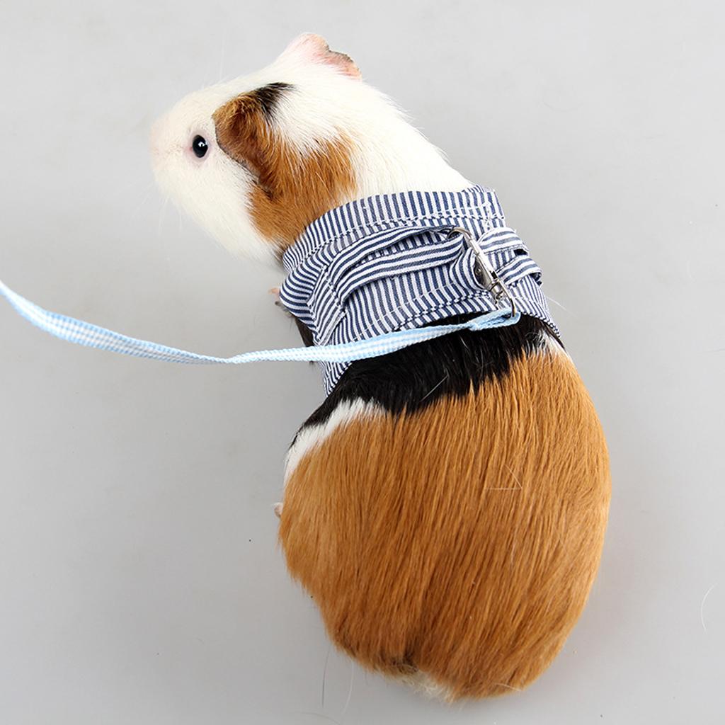 Hurtless Hamster Vest Leash Collar Harness Lead Rope Chest Strap L  Blue