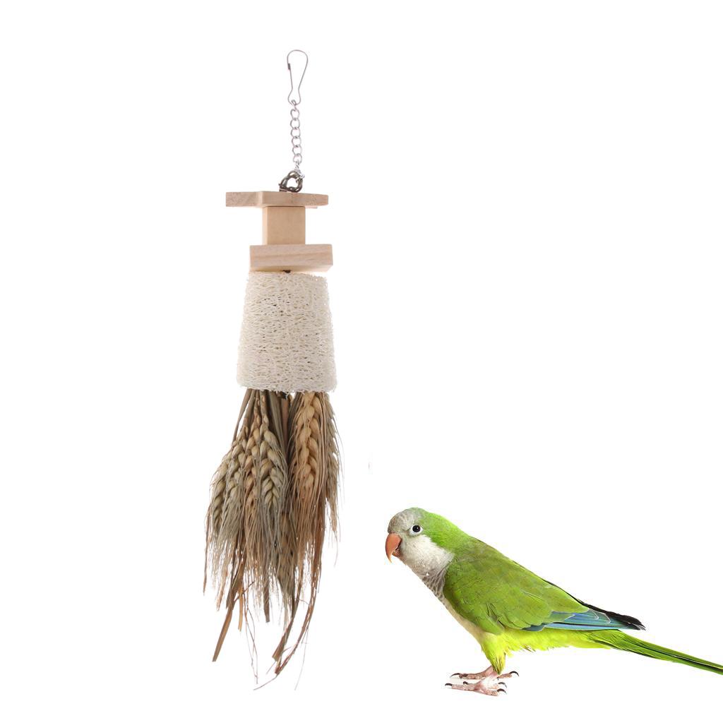 Pet Supplies Bird Parrot Chew Toys Swing Stand Perch Cage Hanging Toys #10