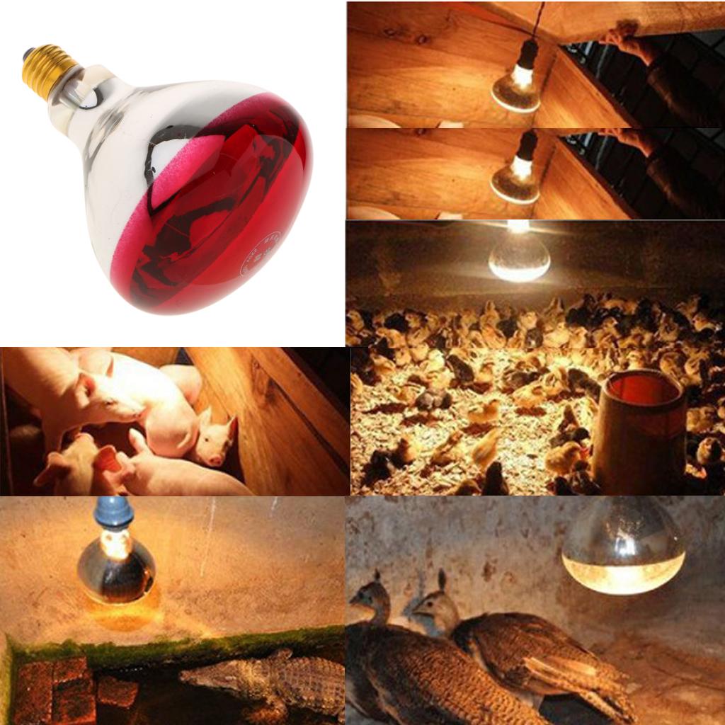 E27 Heat Light Bulb Breeding Lamp Heat Emitter Infrared Heater Type 3 - 150W