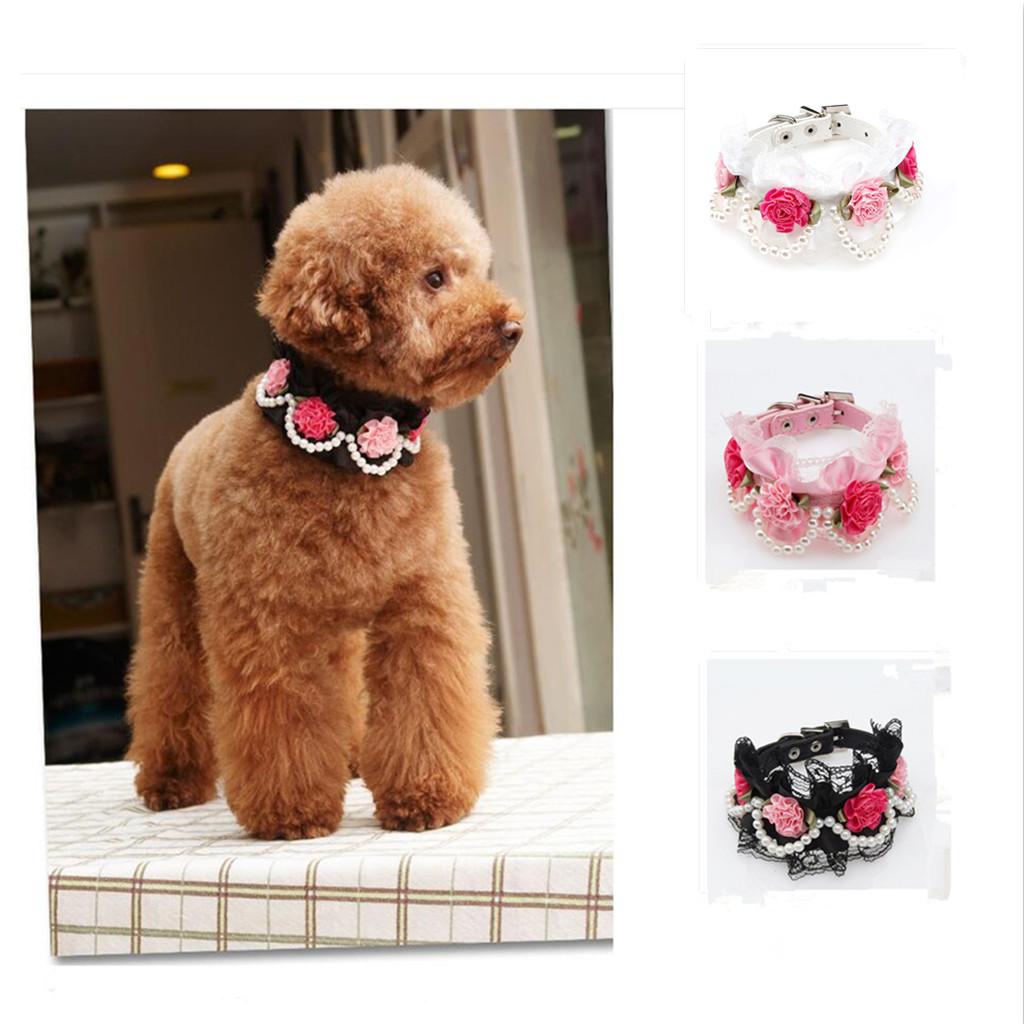 Pet Dog Cat Puppy Imitation Pearls Necklace Flower Lace Collar Belt White M