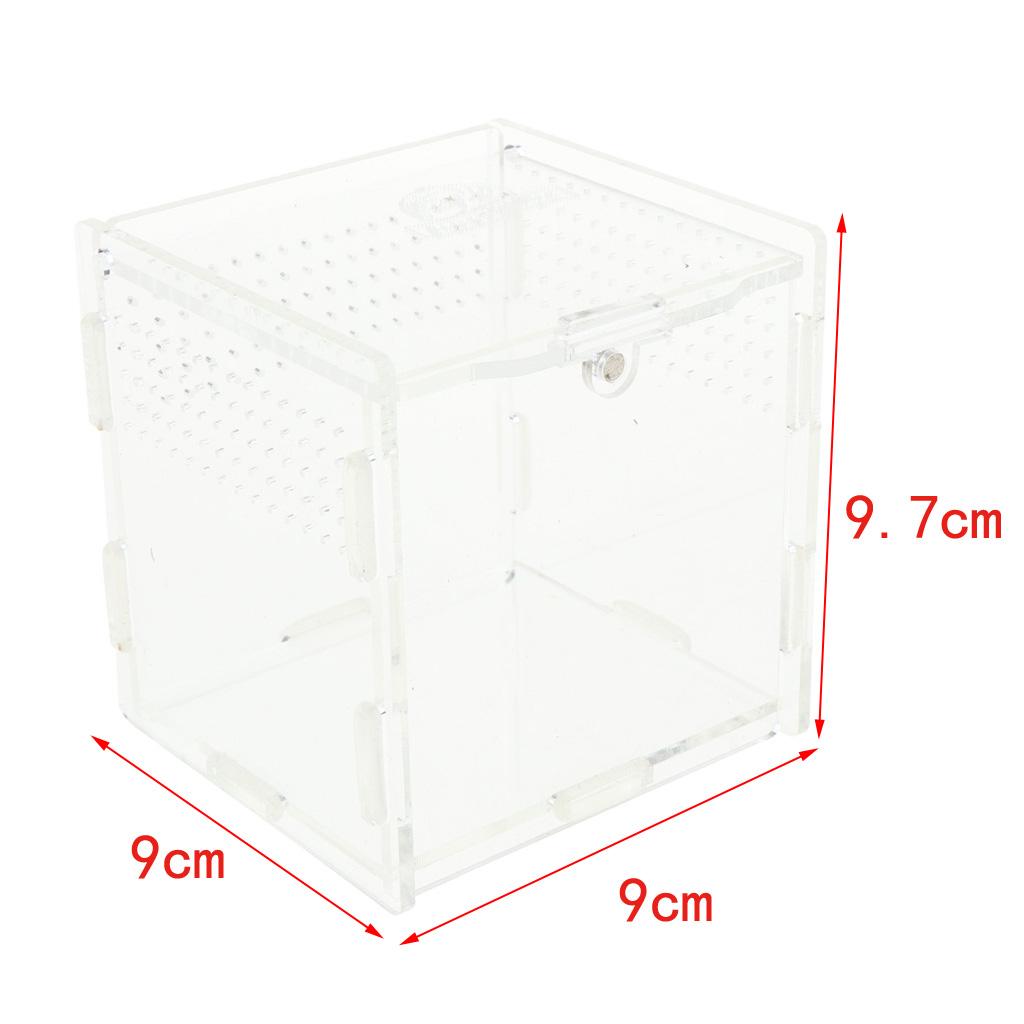 Reptile Turtle Tank Insect Spiders Breeding Box Tortoise Terrariums White 1