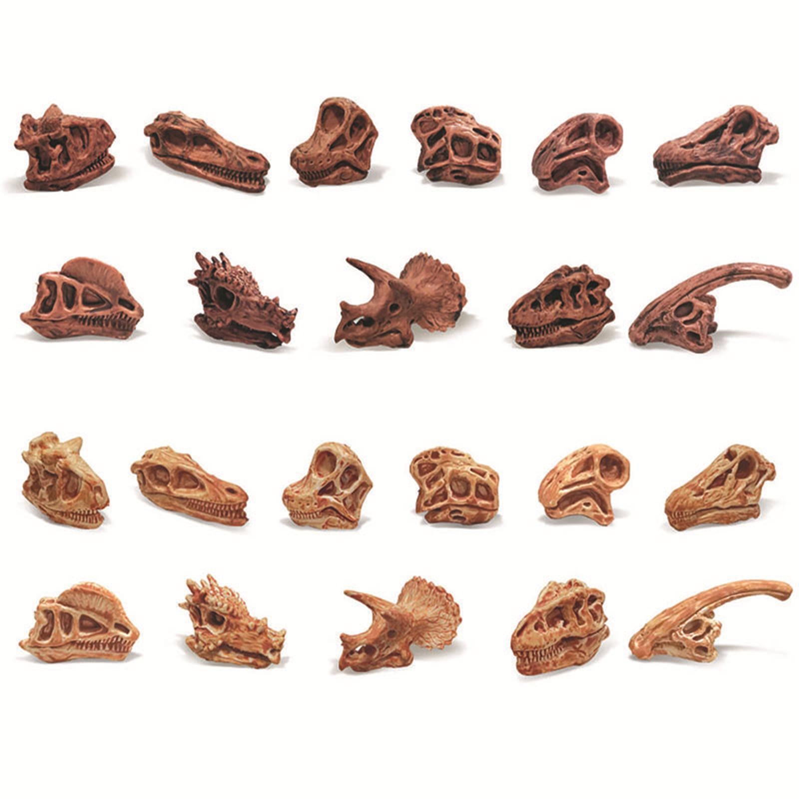 Dinosaur Skull Model Simulated Fossil Home Decor Decrative Teaching Prop light brown