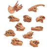 Load image into Gallery viewer, Dinosaur Skull Model Simulated Fossil Home Decor Decrative Teaching Prop light brown