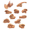 Dinosaur Skull Model Simulated Fossil Home Decor Decrative Teaching Prop light brown