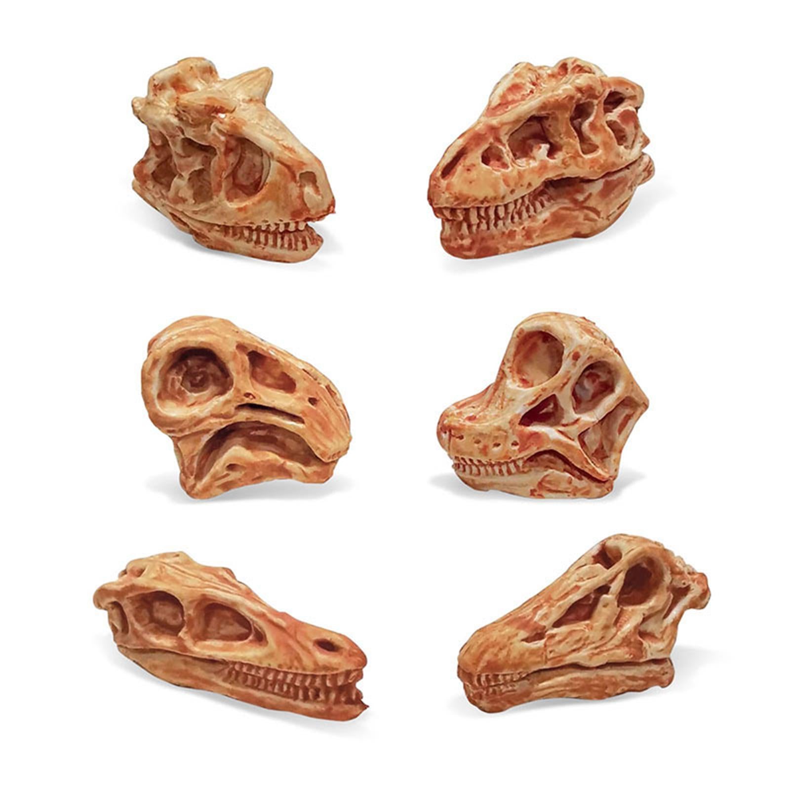 Dinosaur Skull Model Simulated Fossil Home Decor Decrative Teaching Prop light brown