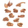Load image into Gallery viewer, Dinosaur Skull Model Simulated Fossil Home Decor Decrative Teaching Prop light brown