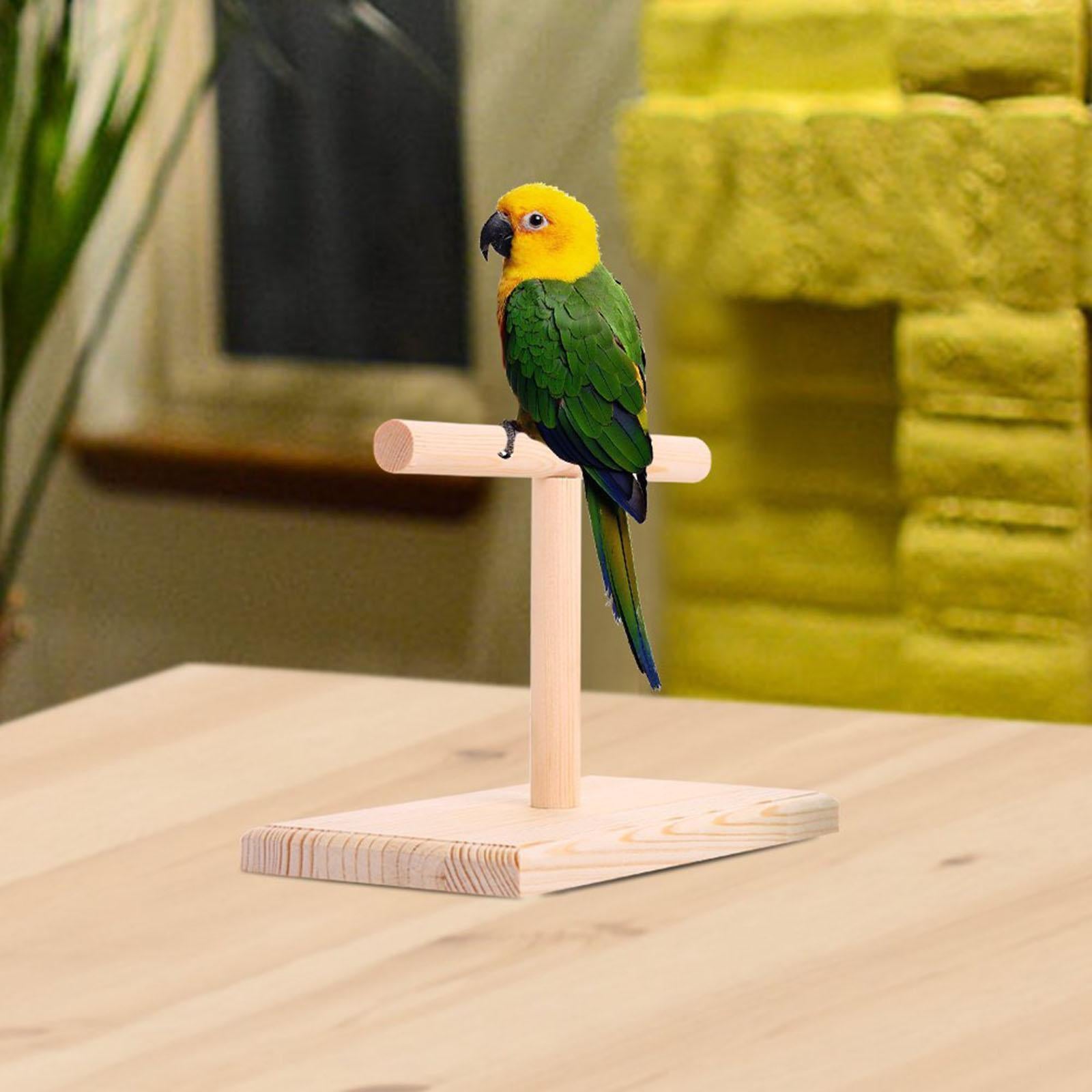 Stable Table Bird Perch Playstand T Stand Lovebirds Parrot Training Stand