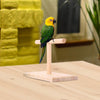 Stable Table Bird Perch Playstand T Stand Lovebirds Parrot Training Stand