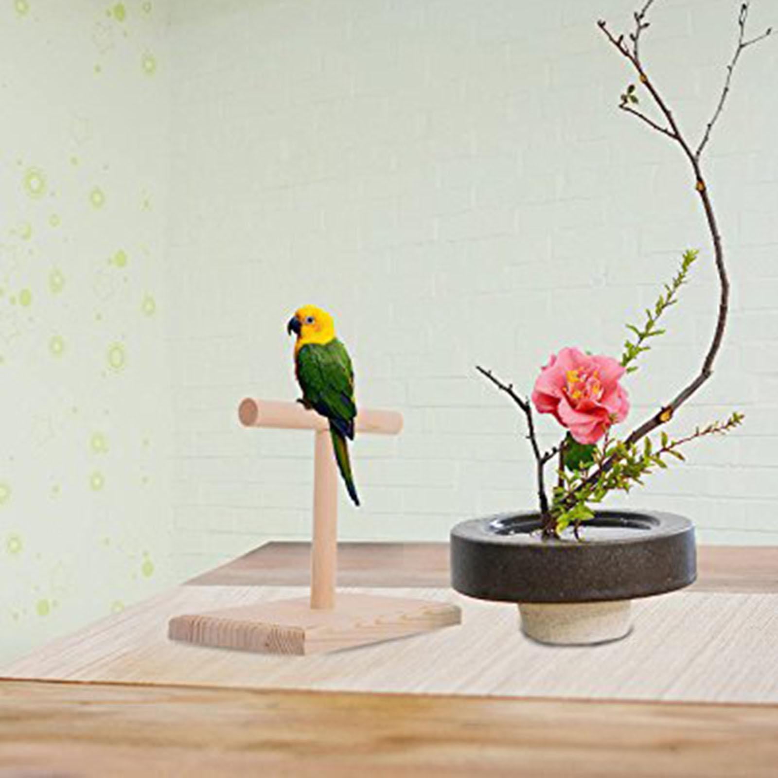 Stable Table Bird Perch Playstand T Stand Lovebirds Parrot Training Stand