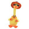 Plush Toy Dancing Duck Record and Speaking Toy Swing Doll A Chinese USB